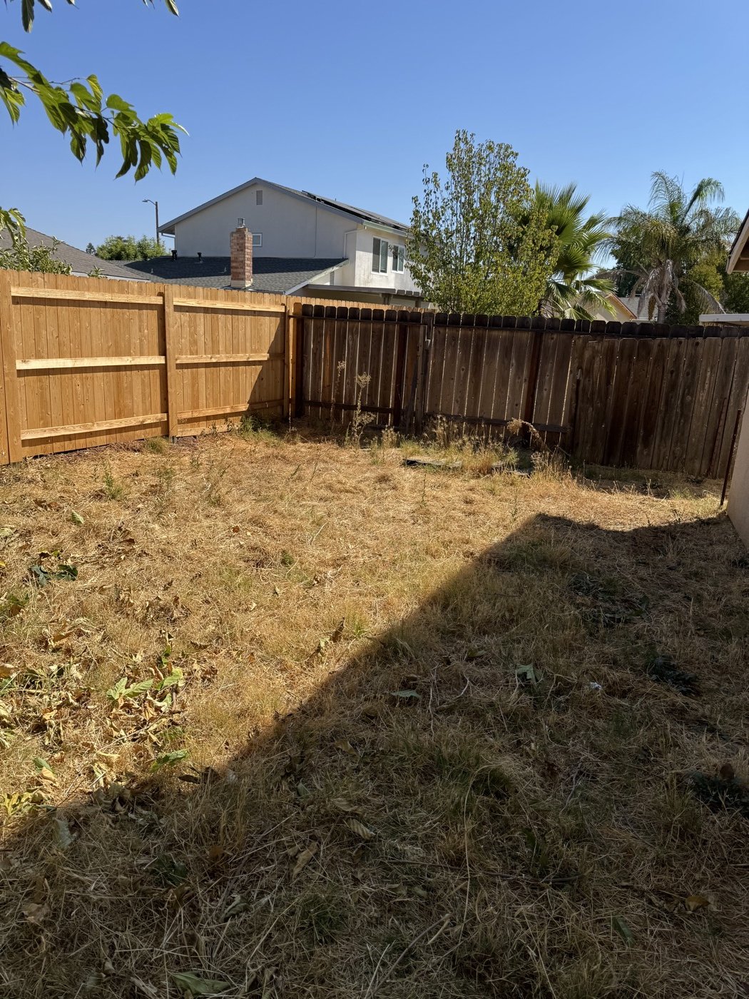 After: side yard cleared of all junk and debris